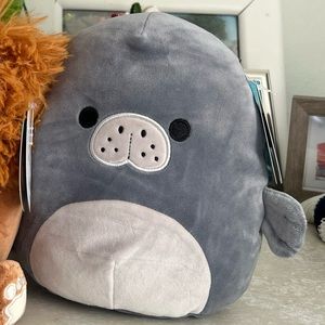 8” Matt the manatee Squishmallow NWT